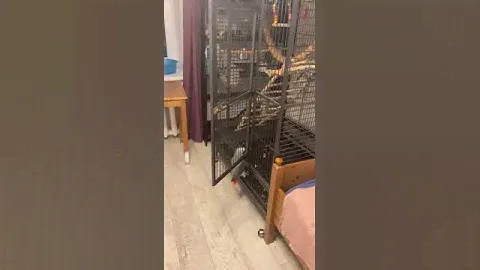 Пора спать ❤️