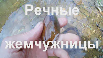 Одиночный сплав по р.  Койва.  Заброшенные кордоны (ч - 2)