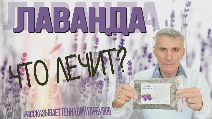 Цветки Лаванды – зачем нужны, как применять и полезные свойства. Рассказывает Геннадий Гарбузов