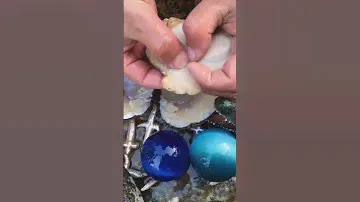 Жемчужина из ракушки