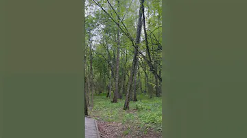 Филимонковское поселение, парк в Марьино